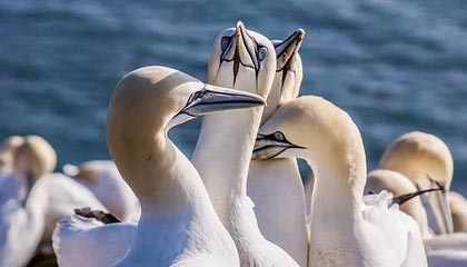 C7娱乐|网球赛事v7.7.8